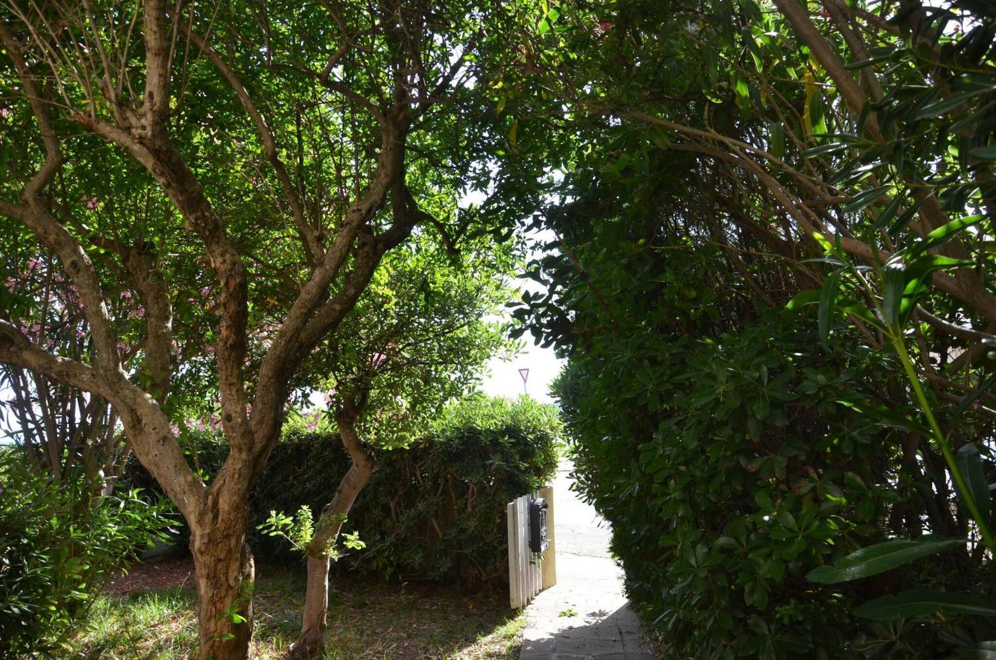 Fantastic Sardinia Villette Con Giardino Fronte Mare Fertilia Faho-Gav01-Gav02 Exterior foto